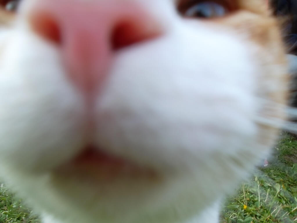 cat 2013 cat 2013