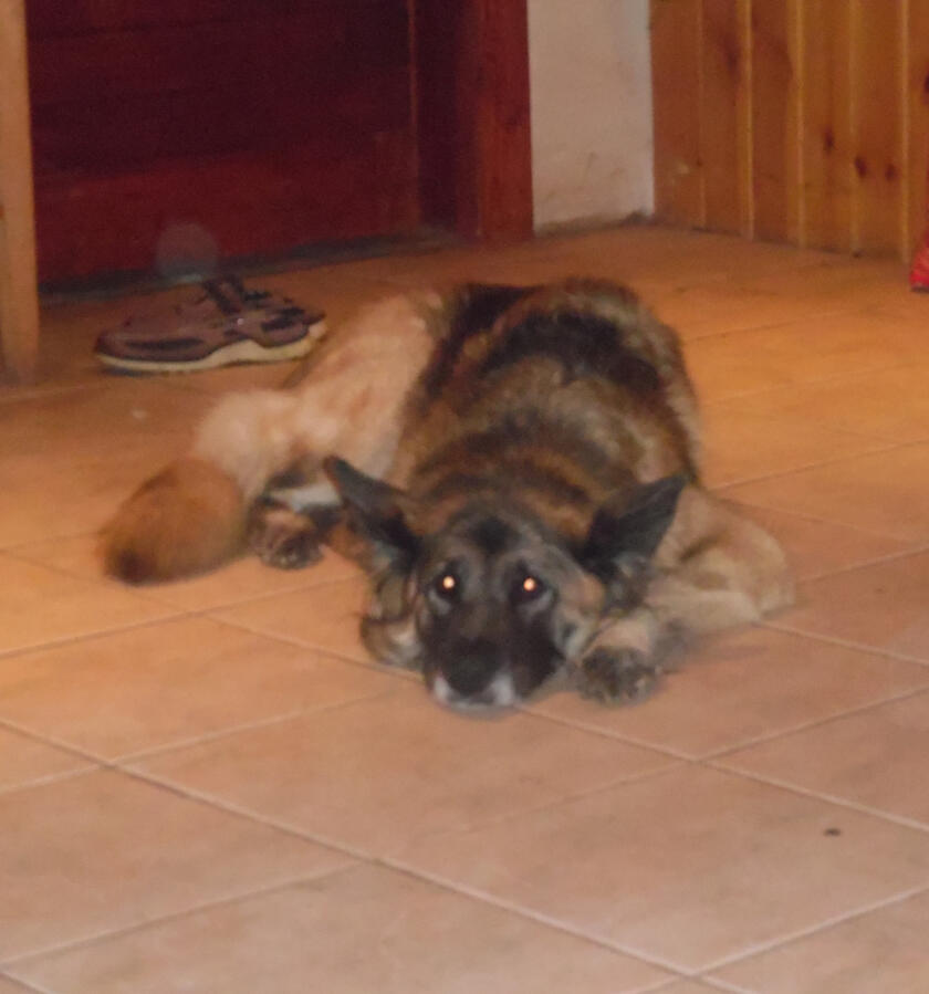 naida 2014 naida 2014