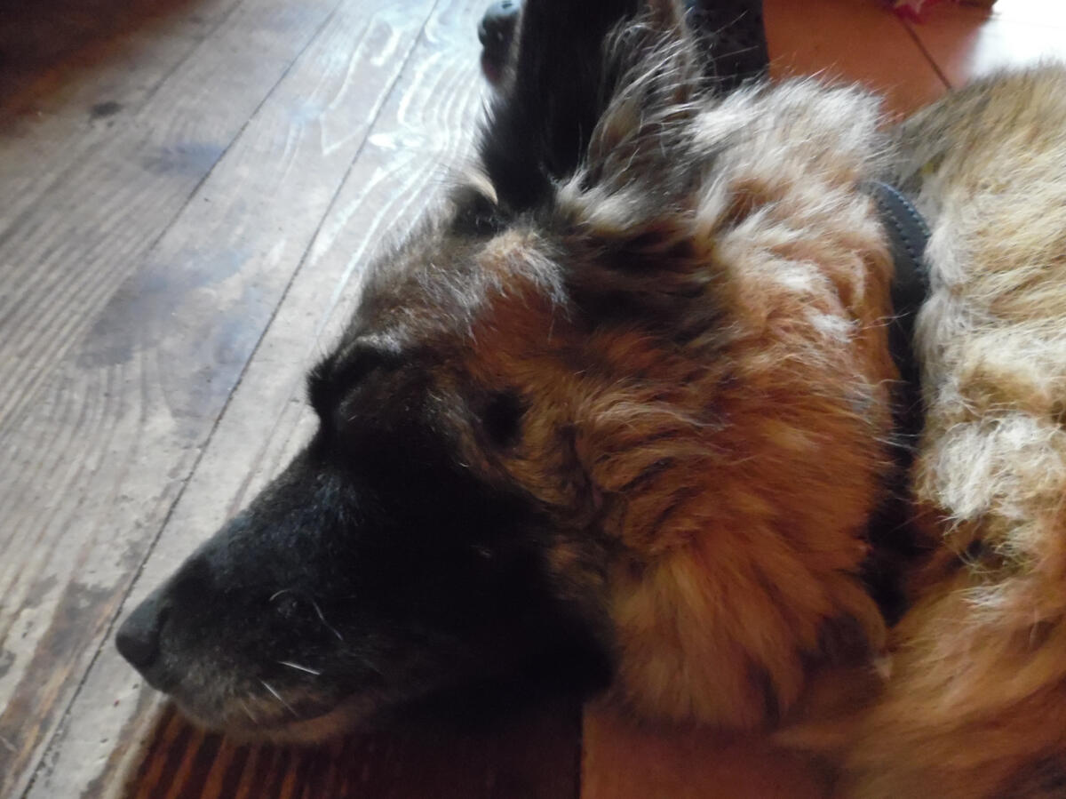 naida 2014 naida 2014