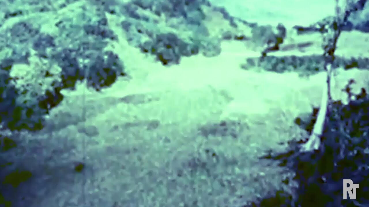 link to record